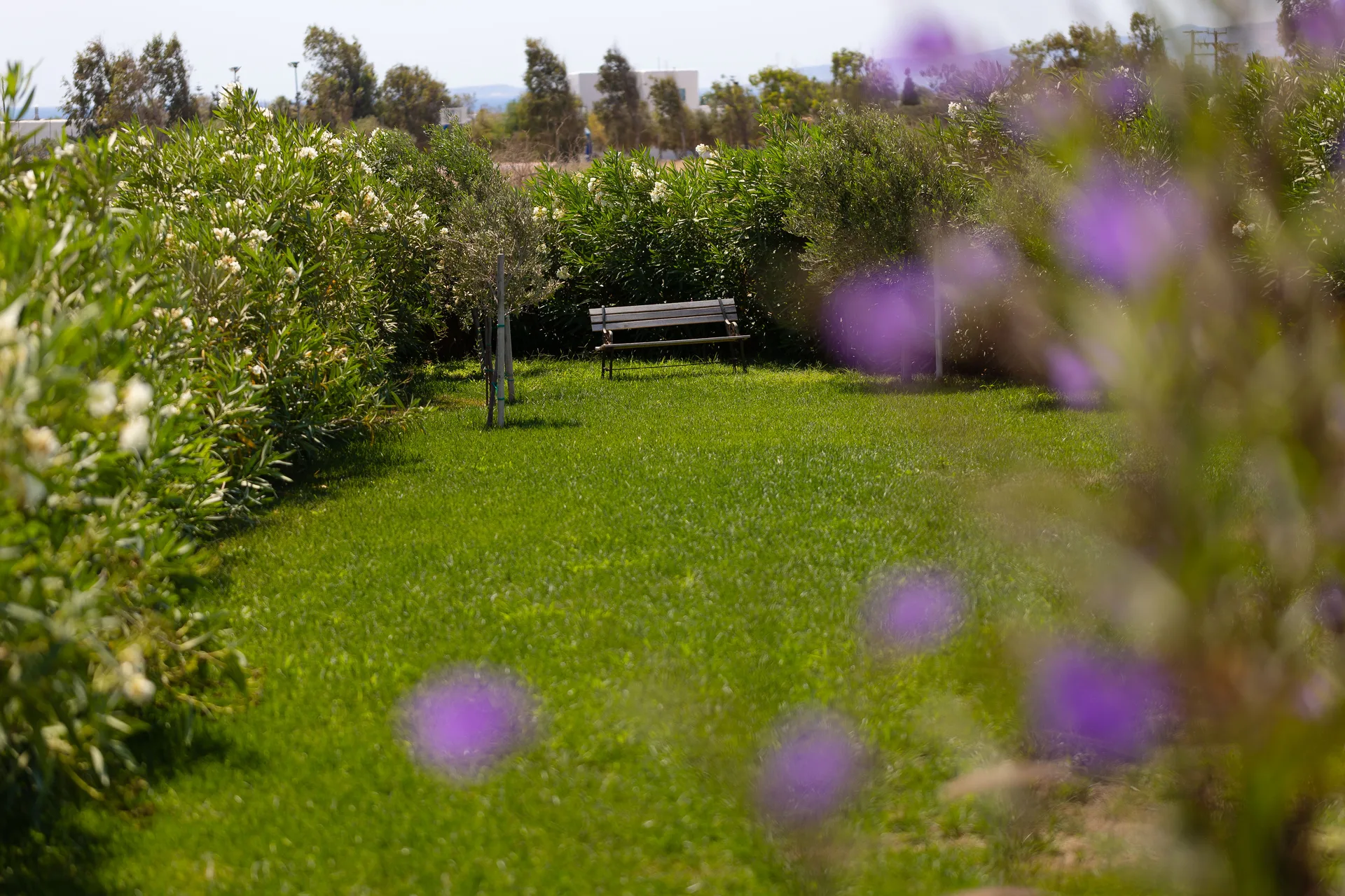 Ili, Naxos — outdoors — 19