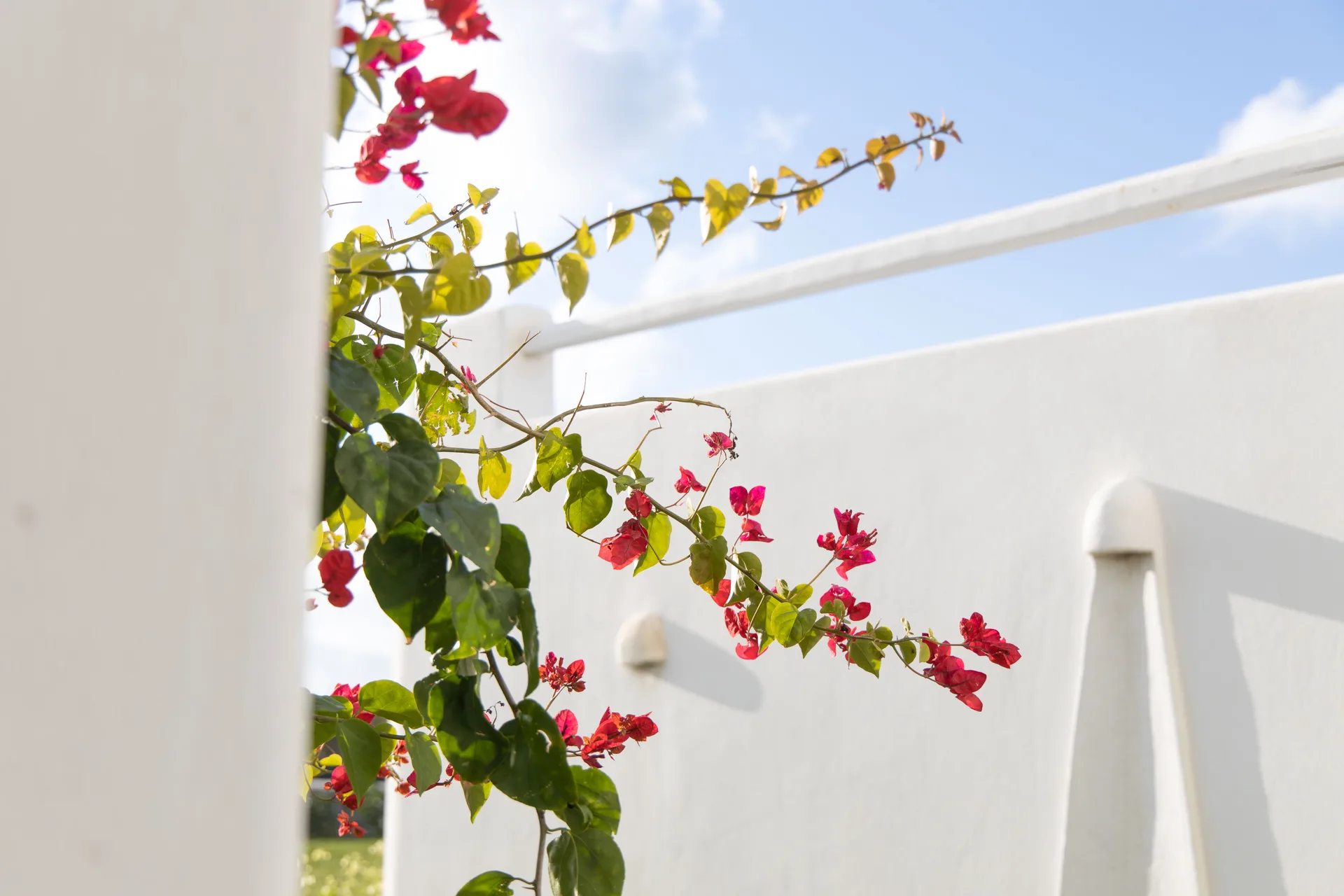 Ili, Naxos — outdoors — 27